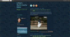 Desktop Screenshot of lilliannorthcountynotes.blogspot.com