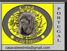 Tablet Screenshot of mastimnapolitano-casavaleestrela.blogspot.com