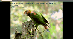 Desktop Screenshot of birdsmanizales.blogspot.com