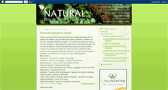 Desktop Screenshot of natural-saludynutricion.blogspot.com