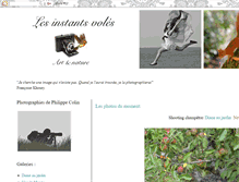 Tablet Screenshot of les-instants-voles.blogspot.com