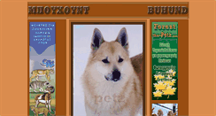 Desktop Screenshot of petz-norskbuhund.blogspot.com