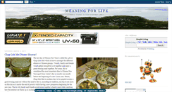 Desktop Screenshot of meaning4lif3.blogspot.com