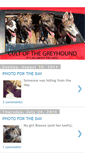 Mobile Screenshot of cultofthegreyhound.blogspot.com