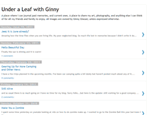 Tablet Screenshot of ginnyglasser.blogspot.com