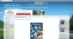 Desktop Screenshot of meilleurs-tops.blogspot.com