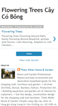 Mobile Screenshot of floweringtreescaycobong.blogspot.com
