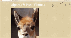 Desktop Screenshot of clearviewalpacas-pacovicunas.blogspot.com