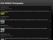 Tablet Screenshot of irishwildlife.blogspot.com