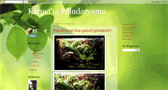 Desktop Screenshot of paludaryumum.blogspot.com