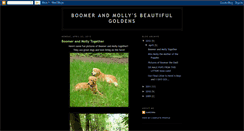 Desktop Screenshot of boomermollysgoldenpups.blogspot.com