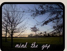 Tablet Screenshot of mind-the-gap2010.blogspot.com