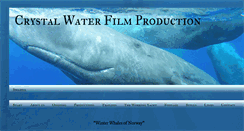 Desktop Screenshot of crystalwaterfilm.blogspot.com