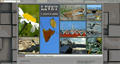 Desktop Screenshot of nina-livetistort.blogspot.com