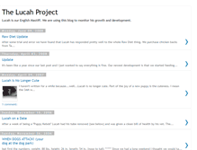 Tablet Screenshot of lucahproject.blogspot.com