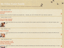 Tablet Screenshot of felinefosterfamily.blogspot.com