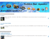 Tablet Screenshot of goldenstaraquatics.blogspot.com