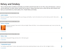 Tablet Screenshot of kelseyandsmokey.blogspot.com