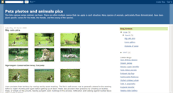 Desktop Screenshot of petsphotos.blogspot.com