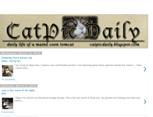 Tablet Screenshot of catpicdaily.blogspot.com