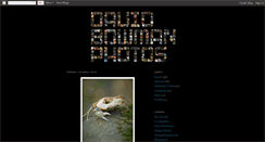 Desktop Screenshot of bowman1981photos.blogspot.com