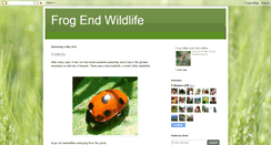 Desktop Screenshot of frog-end-wildlife.blogspot.com