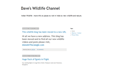 Desktop Screenshot of daveswildlifechannel.blogspot.com