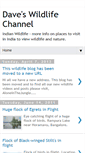 Mobile Screenshot of daveswildlifechannel.blogspot.com
