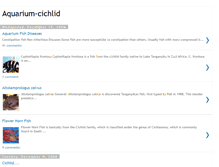 Tablet Screenshot of cichlidaquarium.blogspot.com