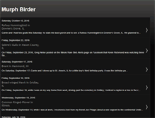 Tablet Screenshot of murphbirder.blogspot.com