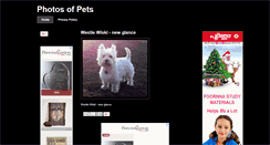 Desktop Screenshot of pet-photo.blogspot.com