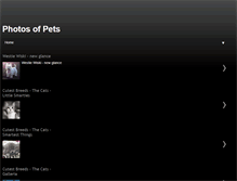 Tablet Screenshot of pet-photo.blogspot.com