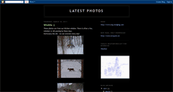 Desktop Screenshot of latestphotosnq.blogspot.com
