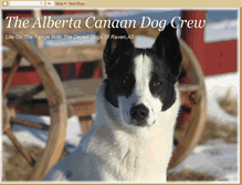 Tablet Screenshot of albertacanaandogcrew.blogspot.com