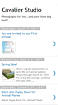 Mobile Screenshot of cavalierstudio.blogspot.com