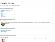 Tablet Screenshot of cavalierstudio.blogspot.com
