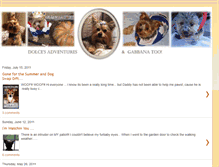 Tablet Screenshot of dolceadventures.blogspot.com