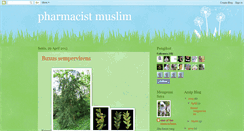 Desktop Screenshot of pharmacistmuslim.blogspot.com