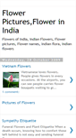 Mobile Screenshot of flowerinindia.blogspot.com