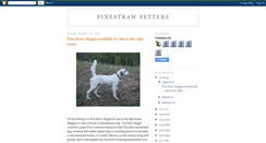 Desktop Screenshot of pinestrawsetters.blogspot.com
