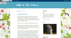 Desktop Screenshot of calminthecraze.blogspot.com