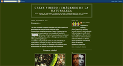 Desktop Screenshot of cesarpinedo100.blogspot.com