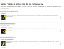 Tablet Screenshot of cesarpinedo100.blogspot.com