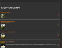 Tablet Screenshot of platyceriumwillinckii.blogspot.com