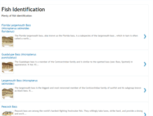 Tablet Screenshot of identifyfish.blogspot.com