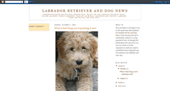 Desktop Screenshot of labradorretrieverdognews.blogspot.com