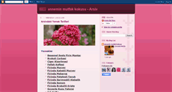 Desktop Screenshot of anneminmutfakokusuarsiv.blogspot.com