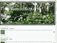 Tablet Screenshot of neesienatters.blogspot.com