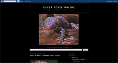 Desktop Screenshot of buyertokekonline.blogspot.com