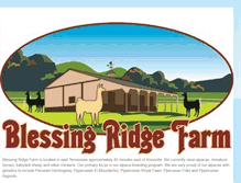 Tablet Screenshot of blessingridgefarm-alpacas.blogspot.com